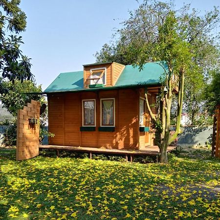 Mini House Park Hotel Кампо Алегре Екстериор снимка