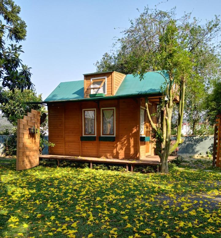 Mini House Park Hotel Кампо Алегре Екстериор снимка